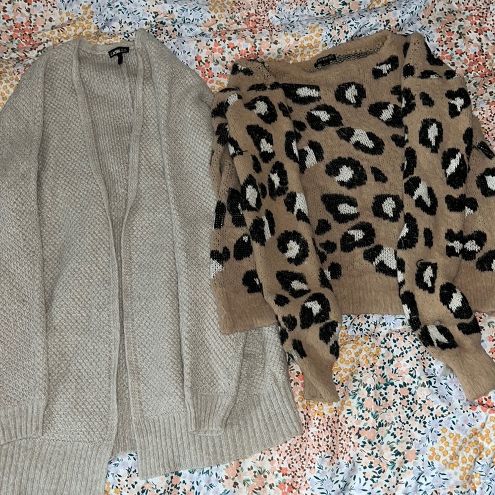 Express sweaters